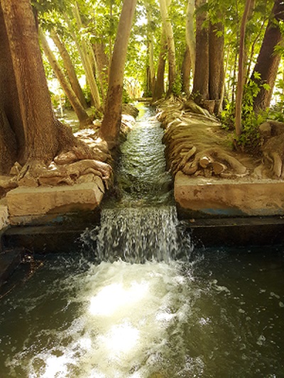 Feasibility Study on Establishment of Local Water Market in Yazd-Ardakan Plain