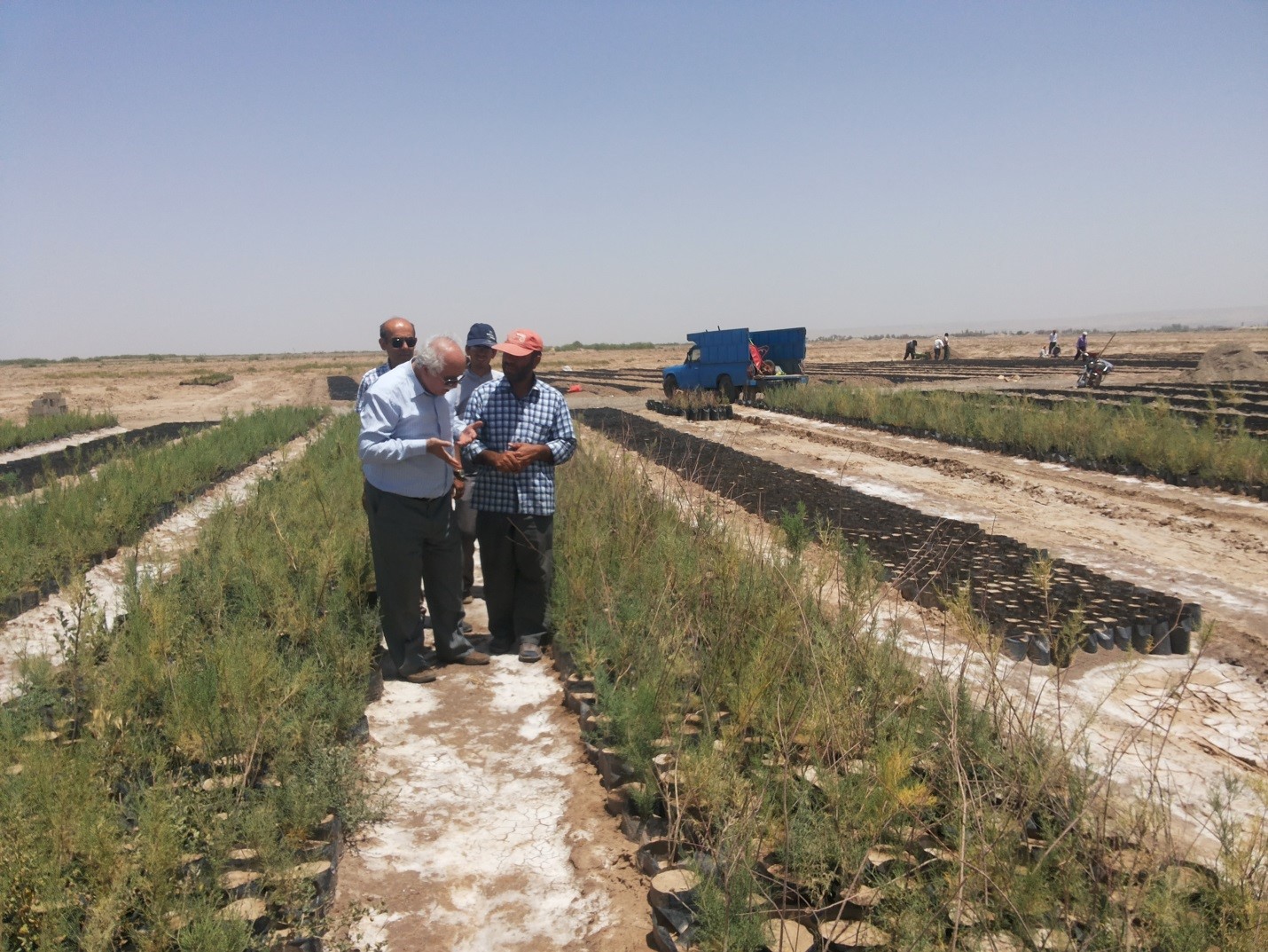 Rehabilitation Plan to Confront against wind and dust erosion of Urmia Lake