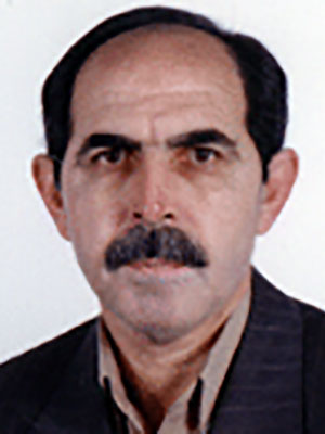 Mohammad Hossein Heydari