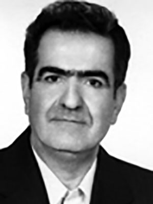Mohammadreza Mahjoub
